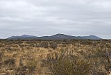 Profile of Helena and Aurora Range (Bungalbin) from the north, sandplain in the foreground.  Photo by Laura Corbett - Helena and Aurora Range (Bungalbin)