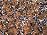 Shiny lag gravel and lichen on flat ground level BIF outcropping. - Rocks and Lightening the Elements