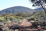 View of Bungalbin Hill as coming in to the Range from the south (Mt Dimer Track). - Helena and Aurora Range (Bungalbin)