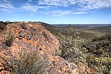 View from top of the Range with Tetratheca aphylla subsp. aphylla and Dryandra arborea (Banksia arborea).  Photo by Rob Neave - Helena and Aurora Range (Bungalbin)