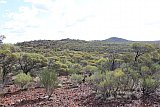 View of "J5" and low hills heading north west from the main range. - Helena and Aurora Range (Bungalbin)