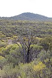 View of "J5" - south end of low hills heading north west from the main range. - Helena and Aurora Range (Bungalbin)