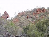 BIF (Banded Ironstone Formation) outcrops on Helena and Aurora Range (Bungalbin). - Helena and Aurora Range (Bungalbin)