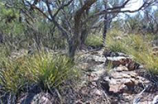 Minister Stephen Dawson and Cabinet say NO to mining Helena and Aurora Range